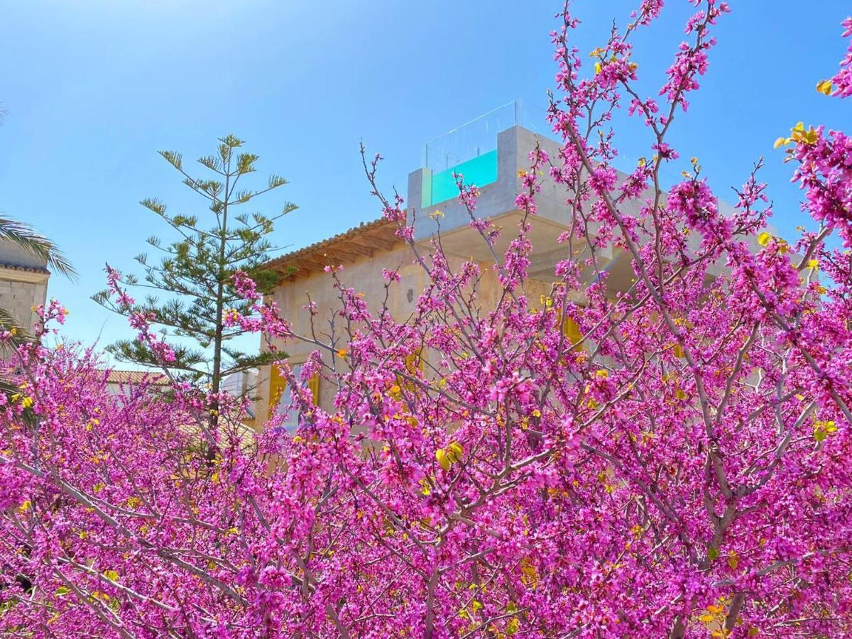 Hotel Boutique Can Pocovi Sant Llorenc Des Cardassar Luaran gambar